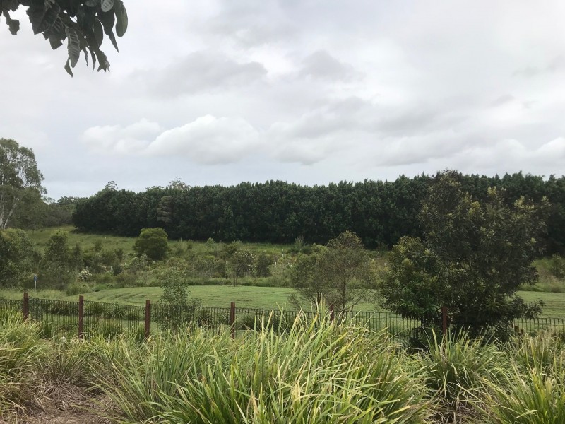 37 Voyager Drive, Kuraby QLD 4112