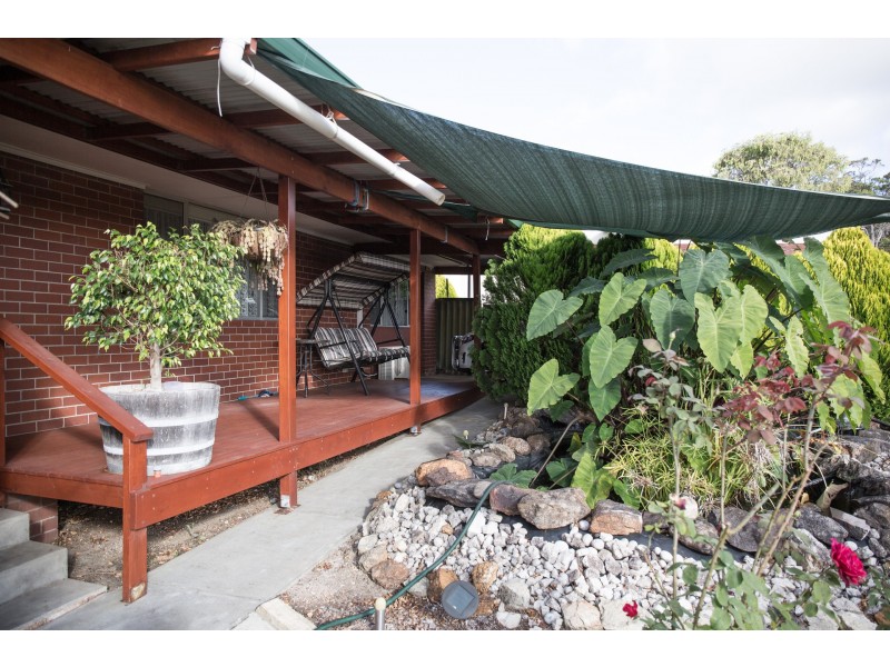 34 Jamieson Street, Pemberton WA 6260