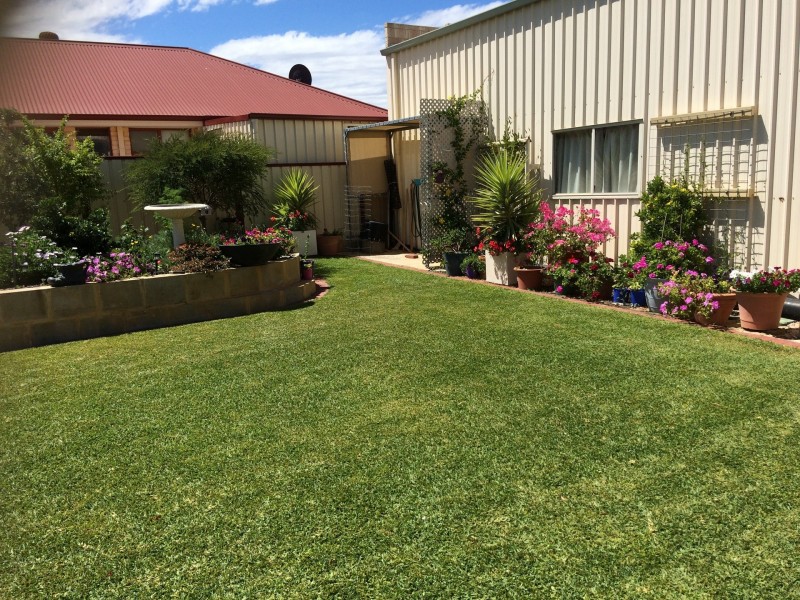 6 Aquilla Street, Jurien Bay WA 6516