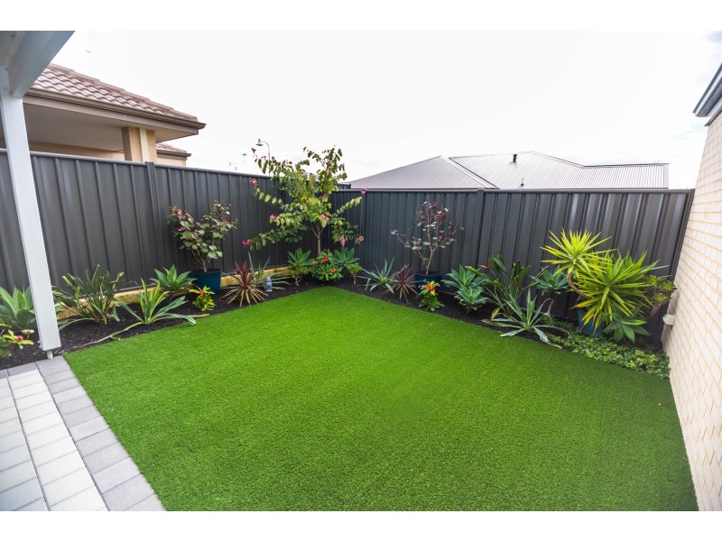 209 Grandis Boulevard, Banksia Grove WA 6031