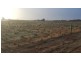 181 Bael Bael Road, Tresco VIC 3583
