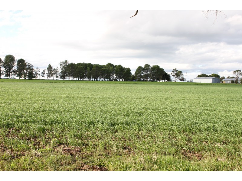 1552 Yetman Road, Oakwood NSW 2360