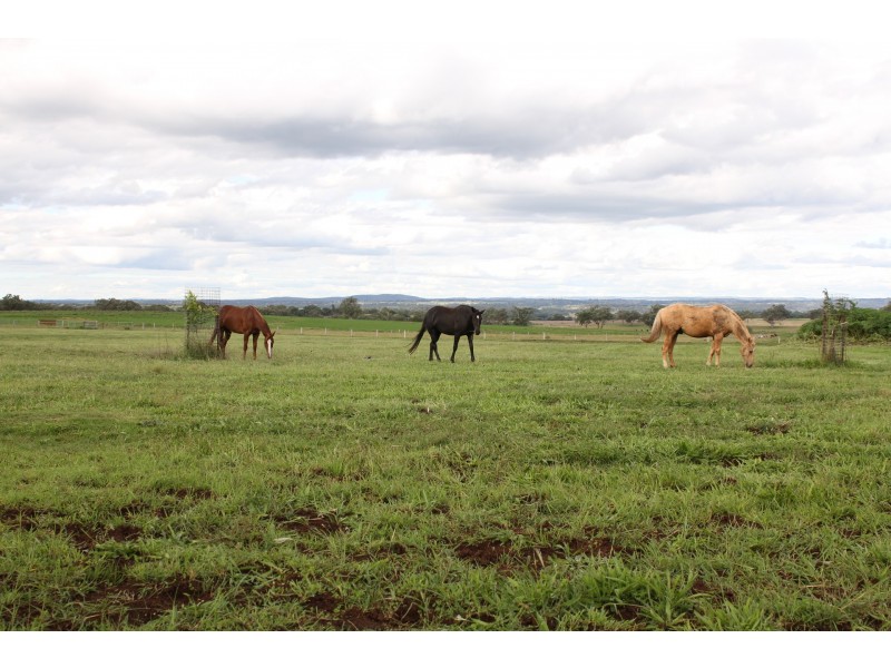 1552 Yetman Road, Oakwood NSW 2360