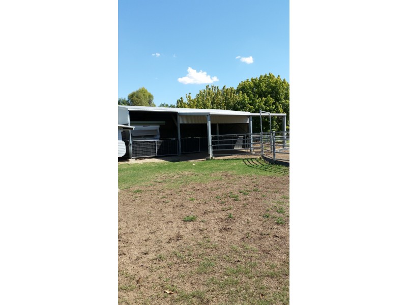 18 Rose Street, Quirindi NSW 2343