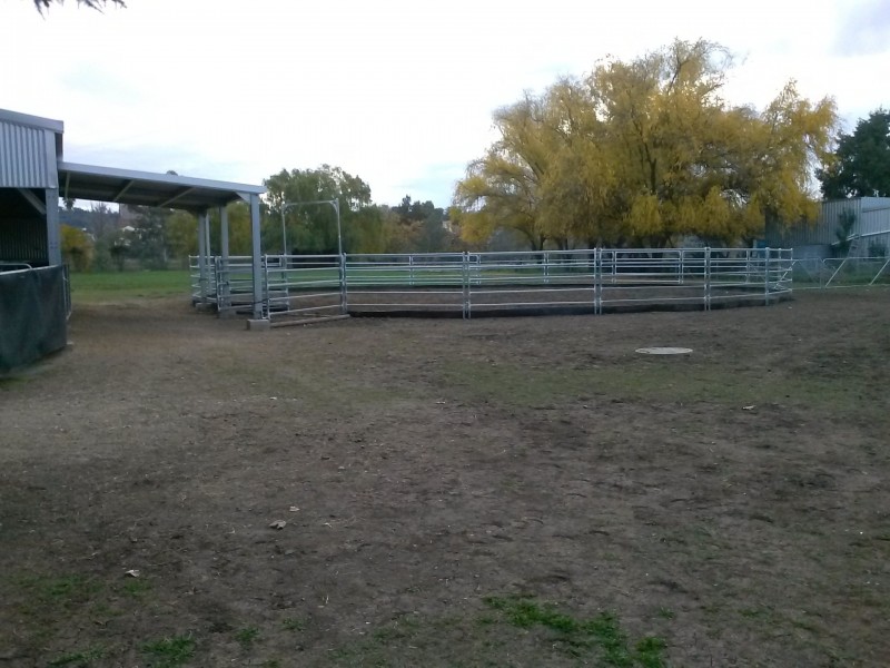 18 Rose Street, Quirindi NSW 2343