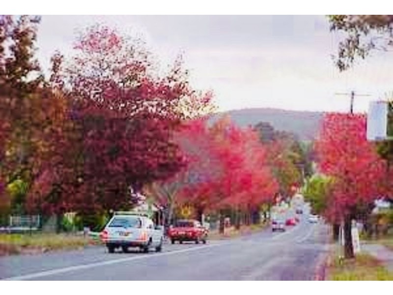 24 Redgum Drive, Braemar NSW 2575