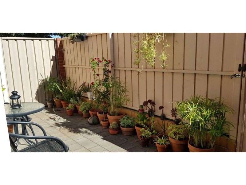 2/31 Henley Beach Road, Mile End SA 5031