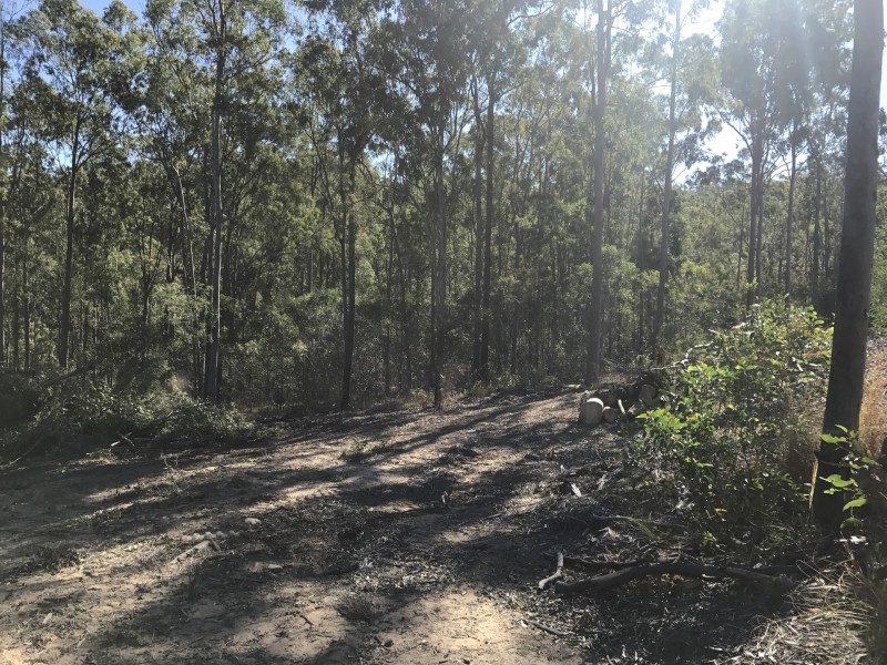 Lot Lot 4, 2 Calden Court, Mundoolun QLD 4285