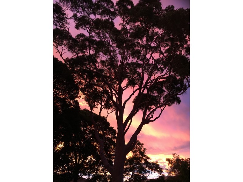 32 Rosemont Street, West Wollongong NSW 2500