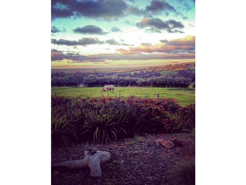 1237 Banksdale rd, Hansonville VIC 3675