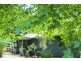16 Lucania Court, Tamborine Mountain QLD 4272