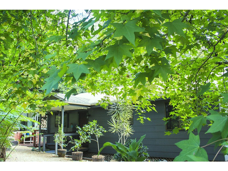 16 Lucania Court, Tamborine Mountain QLD 4272
