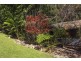 16 Lucania Court, Tamborine Mountain QLD 4272