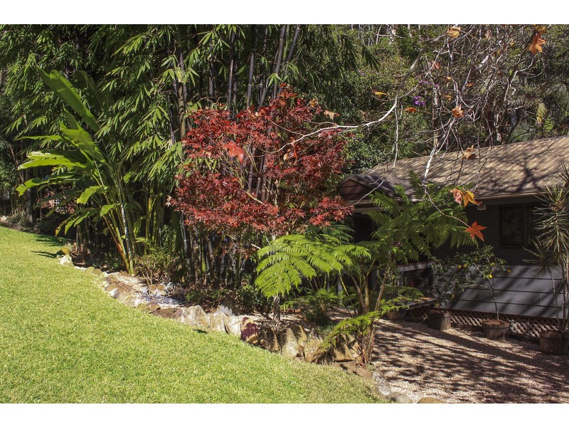 16 Lucania Court, Tamborine Mountain QLD 4272