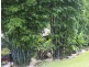 16 Lucania Court, Tamborine Mountain QLD 4272