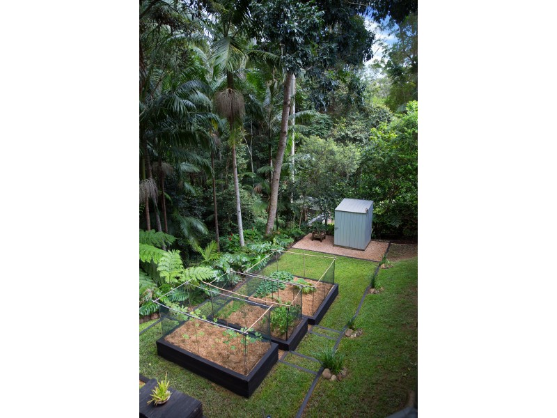 16 Lucania Court, Tamborine Mountain QLD 4272