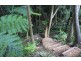 16 Lucania Court, Tamborine Mountain QLD 4272