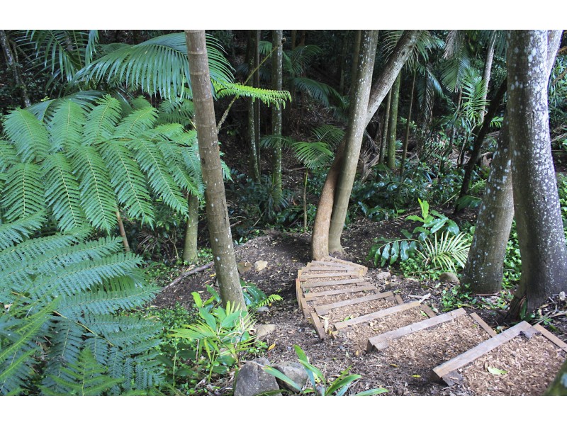 16 Lucania Court, Tamborine Mountain QLD 4272