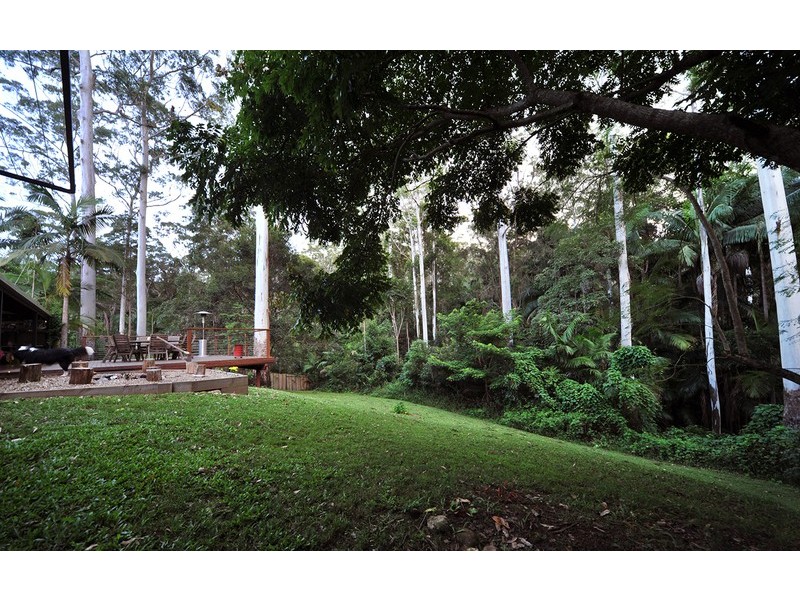 38 Kinabalu drive, Tamborine Mountain QLD 4272