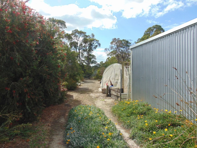 58 Williamson Avenue, Narrikup WA 6326