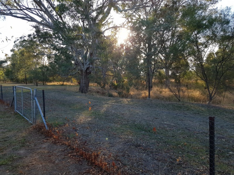 15 Kimball Court, Thurgoona NSW 2640