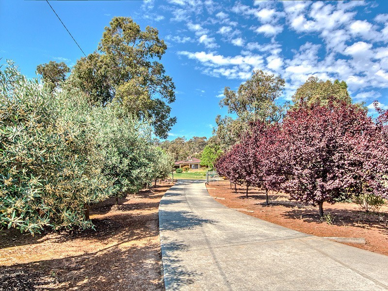 8 Bradshaw Road, Byford WA 6122