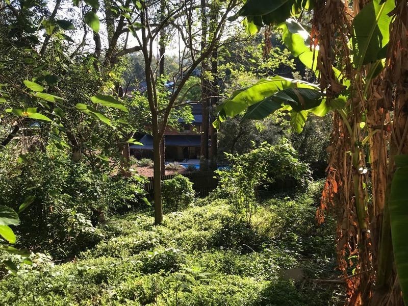 204 Marsden Road, Dundas Valley NSW 2117