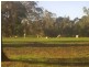 LOT 801 Martin Street, Bakers Hill WA 6562