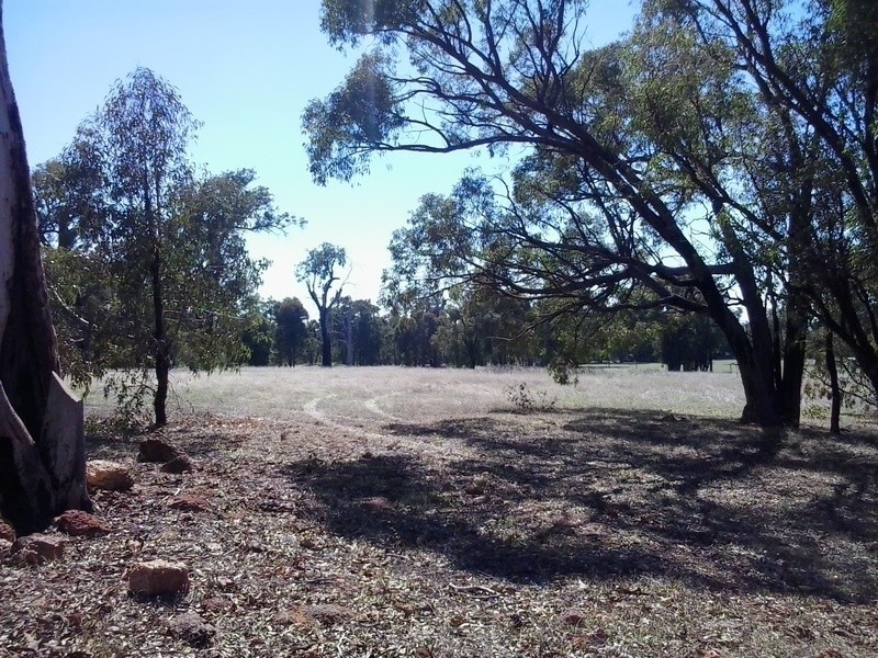 LOT 801 Martin Street, Bakers Hill WA 6562