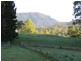 67 Barnes Road, Barkers Vale NSW 2474