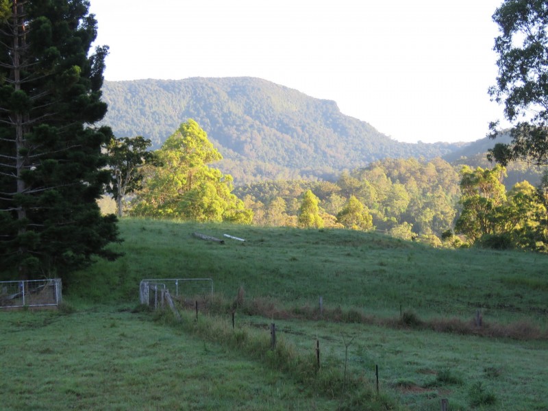 67 Barnes Road, Barkers Vale NSW 2474