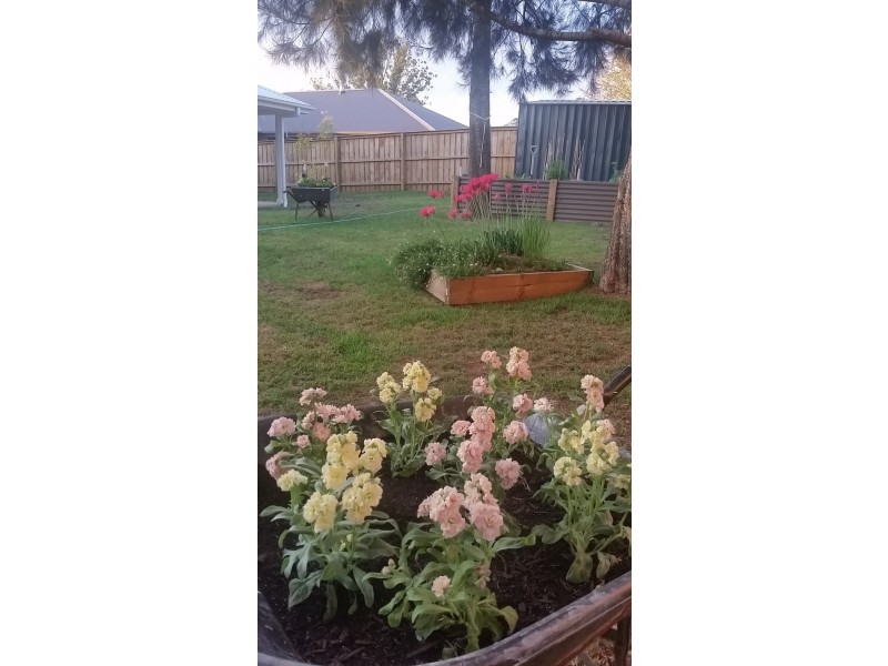 25 Gibbons Rd, Moss Vale NSW 2577