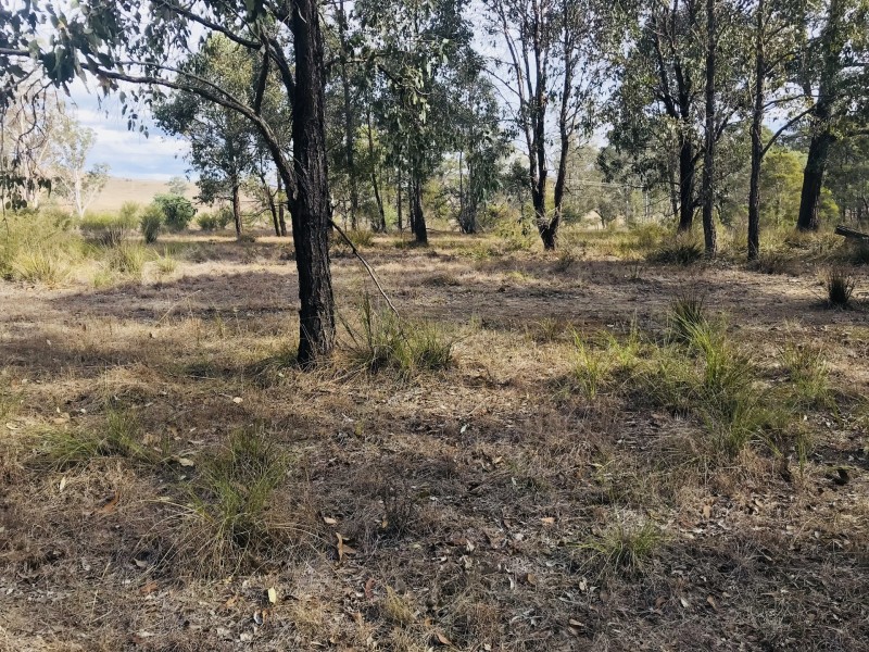 390 Wilton Park Road, Wilton NSW 2571