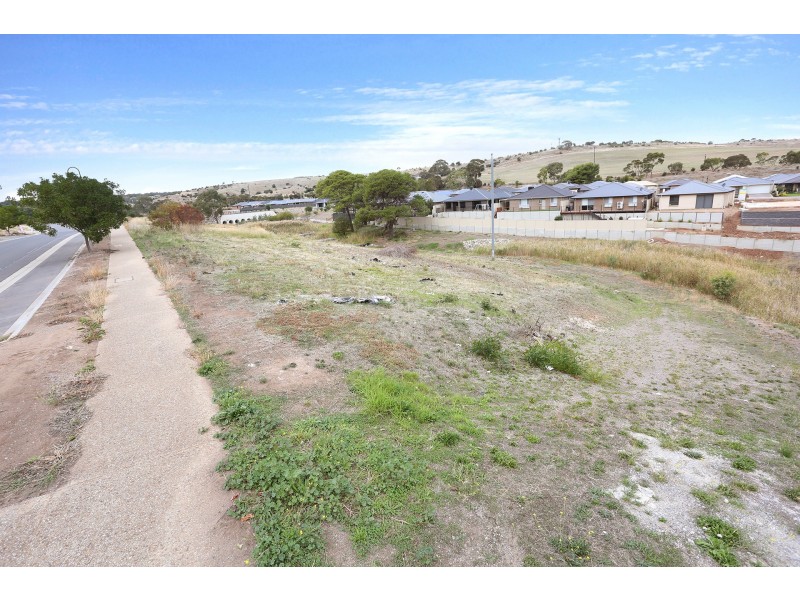 44 Yeltana Avenue, Huntfield Heights SA 5163