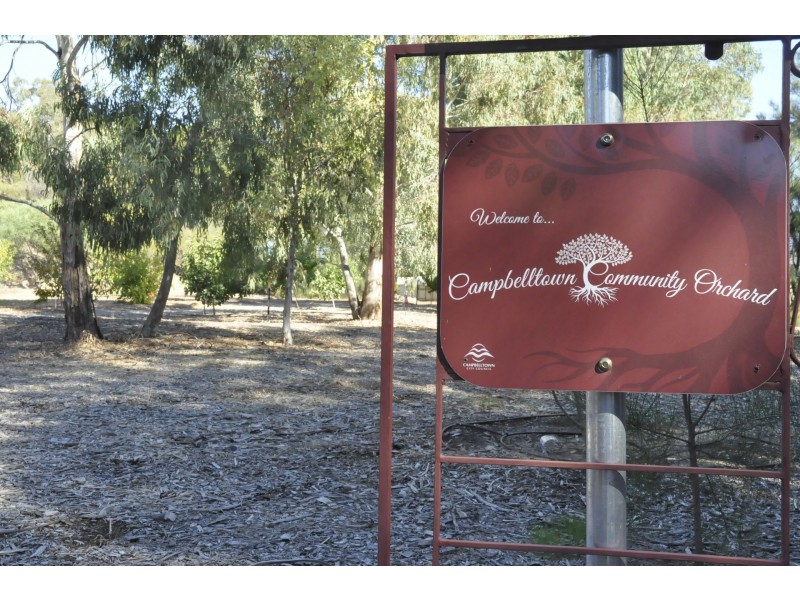 1 Melinda Crescent, Paradise SA 5075