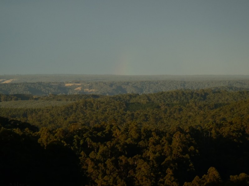 3480 Colac Lavers Hill Road, Ferguson VIC 3237