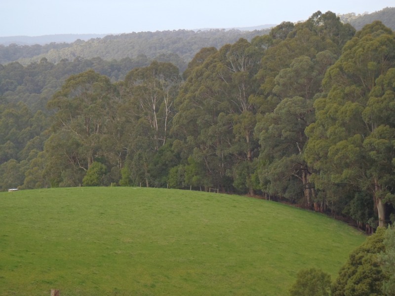 3480 Colac Lavers Hill Road, Ferguson VIC 3237