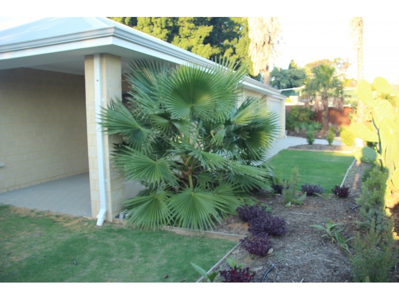 2 Croydon Street, Bellevue WA 6056