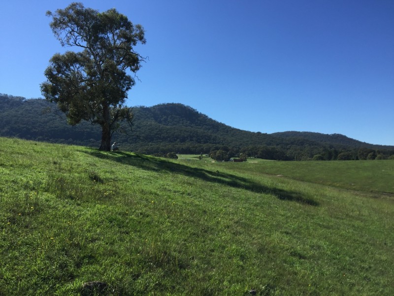 11 (Lot 15) Delaney Drive, Little Hartley NSW 2790