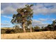 Lot Lot 6, 209 Timboon-Curdievale Road, Timboon VIC 3268