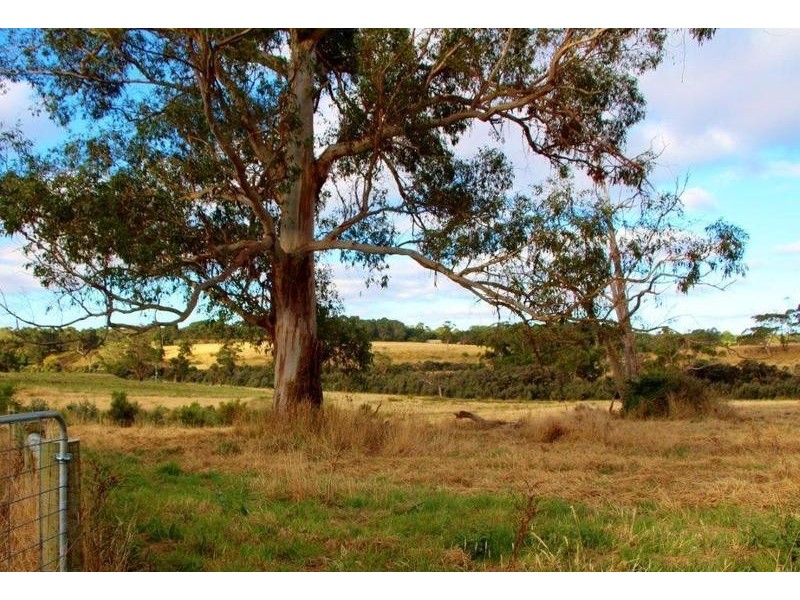 Lot Lot 6, 209 Timboon-Curdievale Road, Timboon VIC 3268