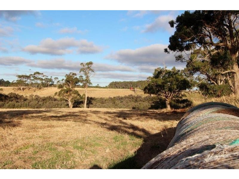 Lot Lot 6, 209 Timboon-Curdievale Road, Timboon VIC 3268