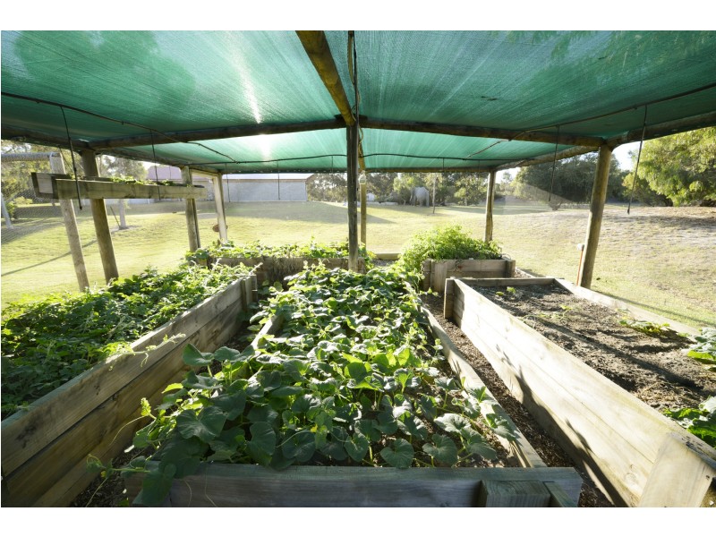 Lot 40 Helms Drive, Pink Lake WA 6450