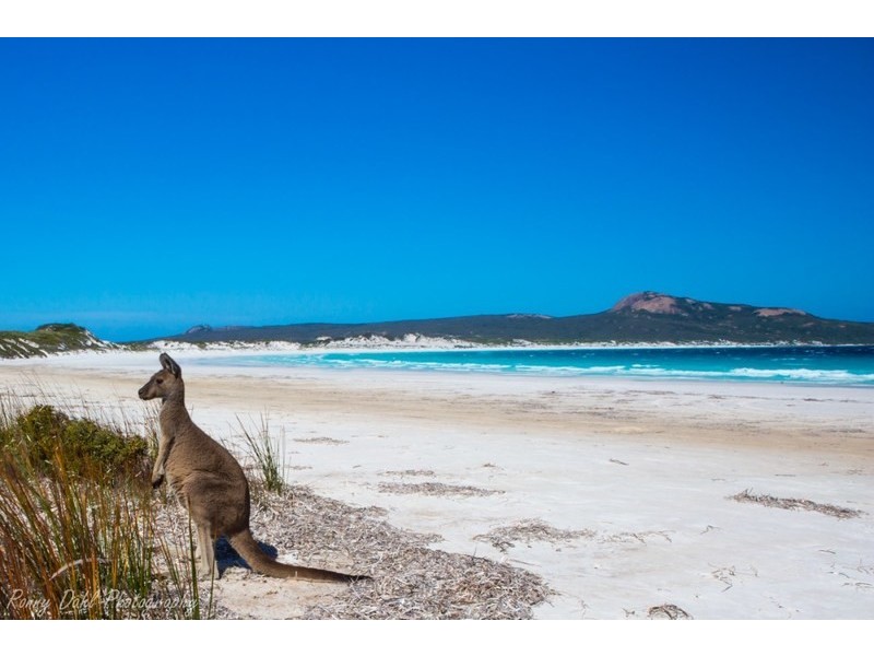 Lot 40 Helms Drive, Pink Lake WA 6450