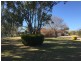 53 Jukes Lane, Cowra NSW 2794