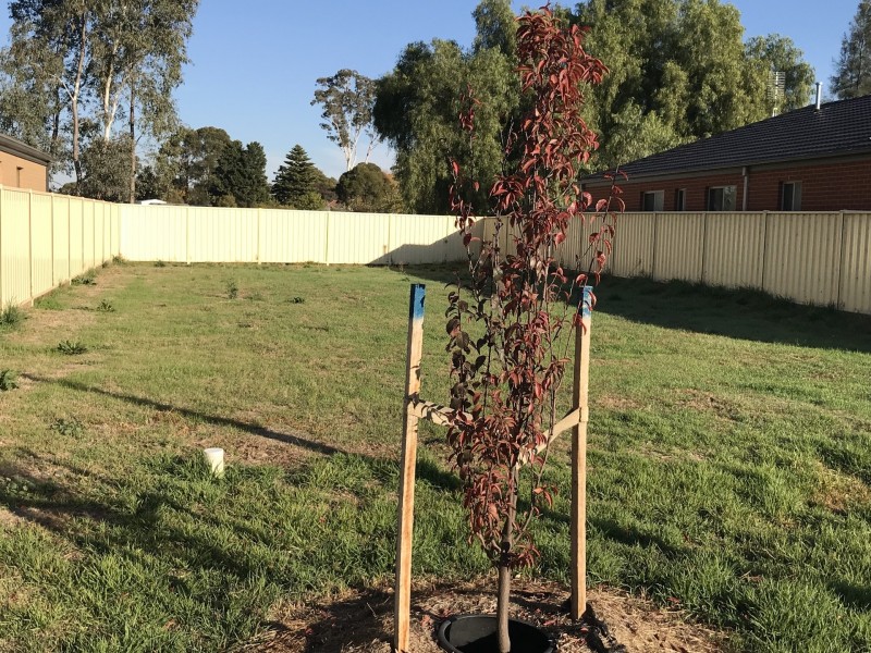 28 Forbes Court, North Bendigo VIC 3550