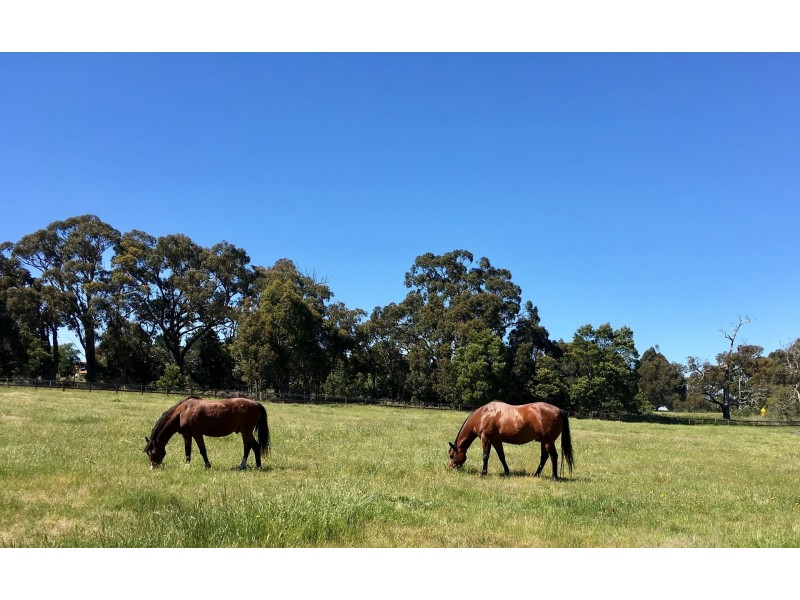 2 Granite Hills Rd, Highlands VIC 3660