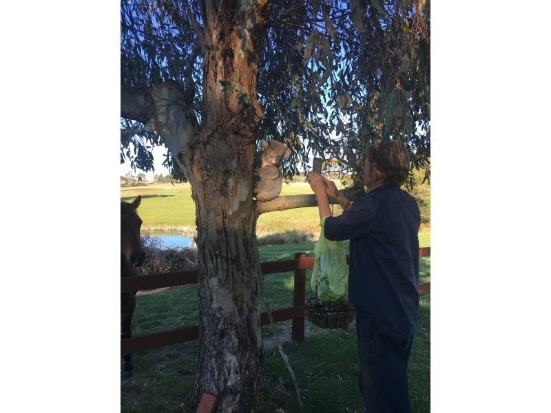 2 Granite Hills Rd, Highlands VIC 3660