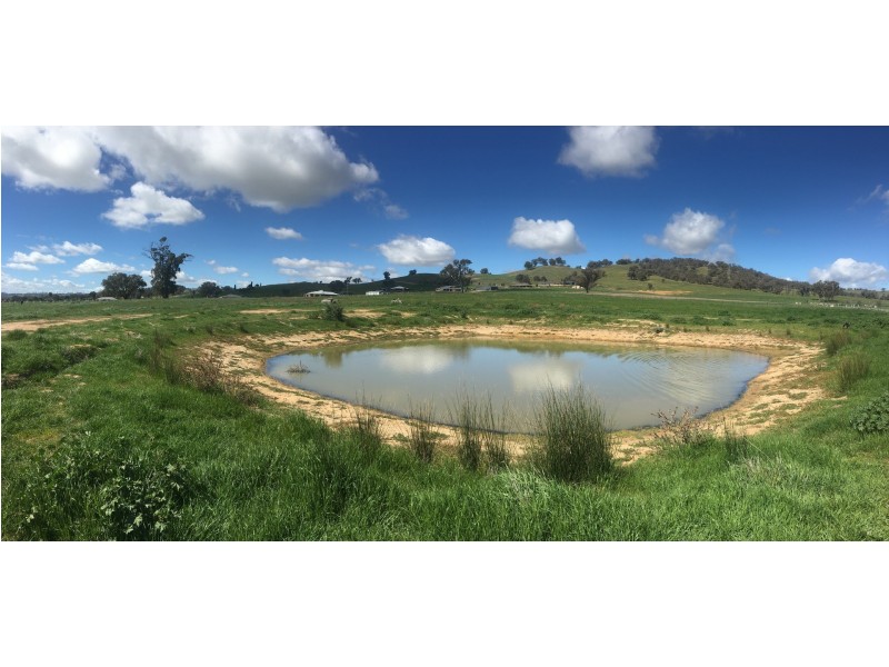 27 Gardenia Place, Jindera NSW 2642