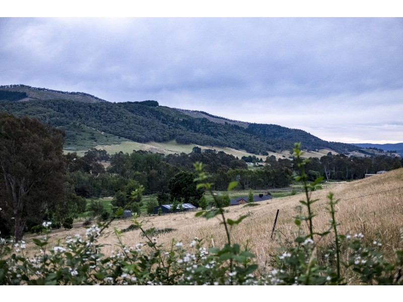 661 Buffalo River Road, Buffalo River VIC 3737